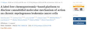 A label free chemoproteomic-based platform to disclose cannabidiol molecular mechanism of action on chronic myelogenous leukemia cancer cells